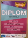 Diplom 2